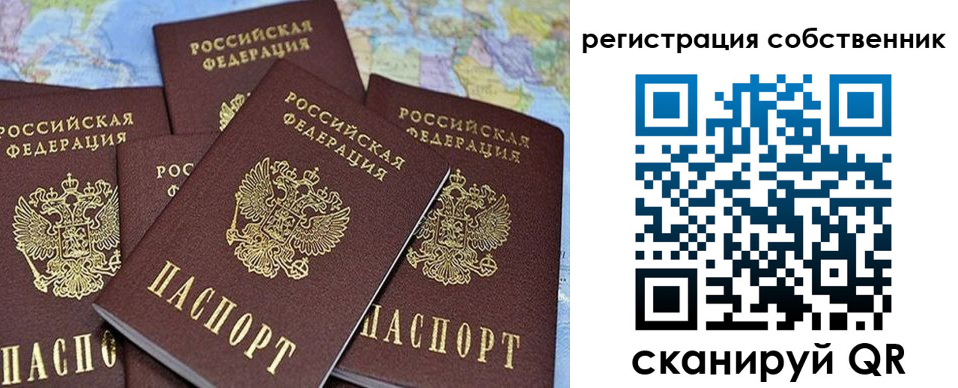 прописка для школы в Сегеже